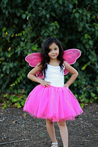 Party Favor Butterfly Wing (Set of 6) Color: Hot Pink