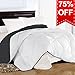TEKAMON All Season Reversible Queen Comforter Winter Warm Summer Soft Quilted Down Alternative Duvet Insert Corner Tabs, Machine Washable Luxury Fluffy Collection for Hotel, White/Gray