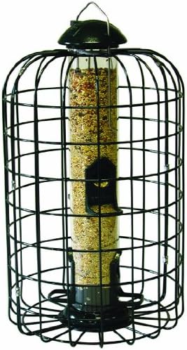 Amazon Com Stokes Select 38002 Tube Feeder Four Feeding Ports