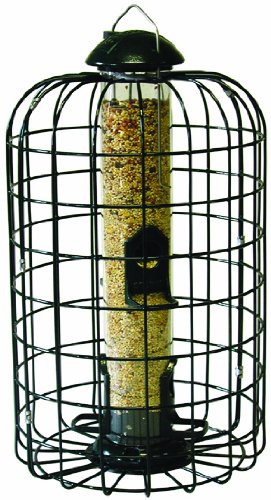Stokes Select Squirrel Proof Bird Feeder With Four Feeding Ports