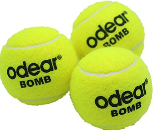 ODEAR Championship Extra Duty Tennis Balls (1-can)