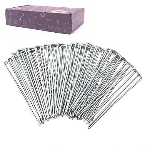 Best Solar Garden Edging