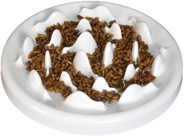 ceramic slow feeder bowl