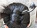 FINGER LOVE Handmade Carved Ebony (Black Sandalwood) Hair Stick: Fox