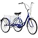 X-Treat Tricycle Adults Single Speed Tricycle with Adjustable Seat Wheel Size 24 inches Steel Rims Help Riding Light and Smooth Large Fold Down Rear Basket for Storage with a Bellthumb 1