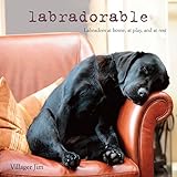Labradorable: Labradors at home, at large, and at play by Villager Jim