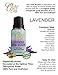 Ovvio Oils Therapeutic Grade Aromatherapy Lavender Essential Oil, 15 ml