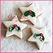 Anyana 3D mini Holly Leaf Christmas xmas mould cake Fondant biscuit gum paste silicone mold for Sugar paste forest gnome cupcake decorating topper decoration sugarcraft decor