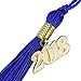LUOEM Graduation Tassels with Gold 2019 Year Charm Academic Graduation Gown Tassels for Graduate Ceremony,Pack of 6 (Dark Blue)