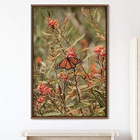 signwin Framed Canvas Wall Art Butterfly Expressive Farmhouse/Country...