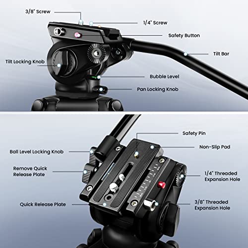 80" /203cm Video Tripod Heavy Duty Tripod with 360° Fluid Head,Mactrem Aluminum Tall Tripods