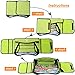 Innokids Kids Travel Tray Children Car Seat Activity Snack and Play Desk with Detachable Organizers for Car Plane and Baby Stroller (Fruit Green)