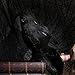 Halloween Black Feathered Crow Realistic Decorations Birds Figurine Statue Model (1PCS)