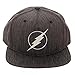 Bioworld DC Comics The Flash Iridescent Weld Woven Fabric Snapback Cap Hat