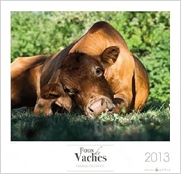 Calendrier 2013 Fous De Vaches Amazon Co Uk Collectif Collectif 9782350080482 Books