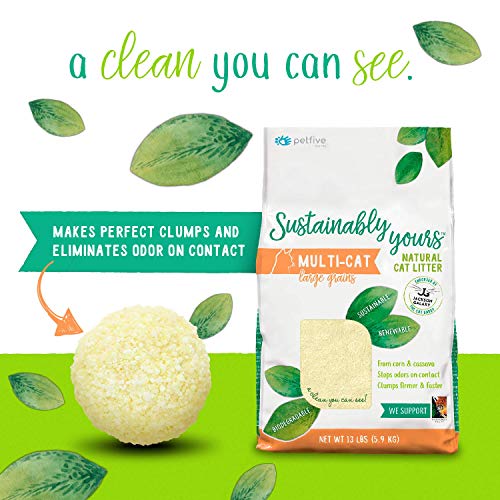 Sustainably Yours Natural Cat Litter, Large Grains, 13 lbs Pricepulse