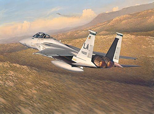 Advantage Eagle, by William S. Phillips - F-15 Eagle Aviation Art