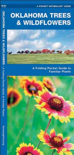 Oklahoma Trees and Wildflowers : An Introduction to Familiar Species (Pocket Naturalist - Waterford Press) (Pocket Naturalist Guide Series)