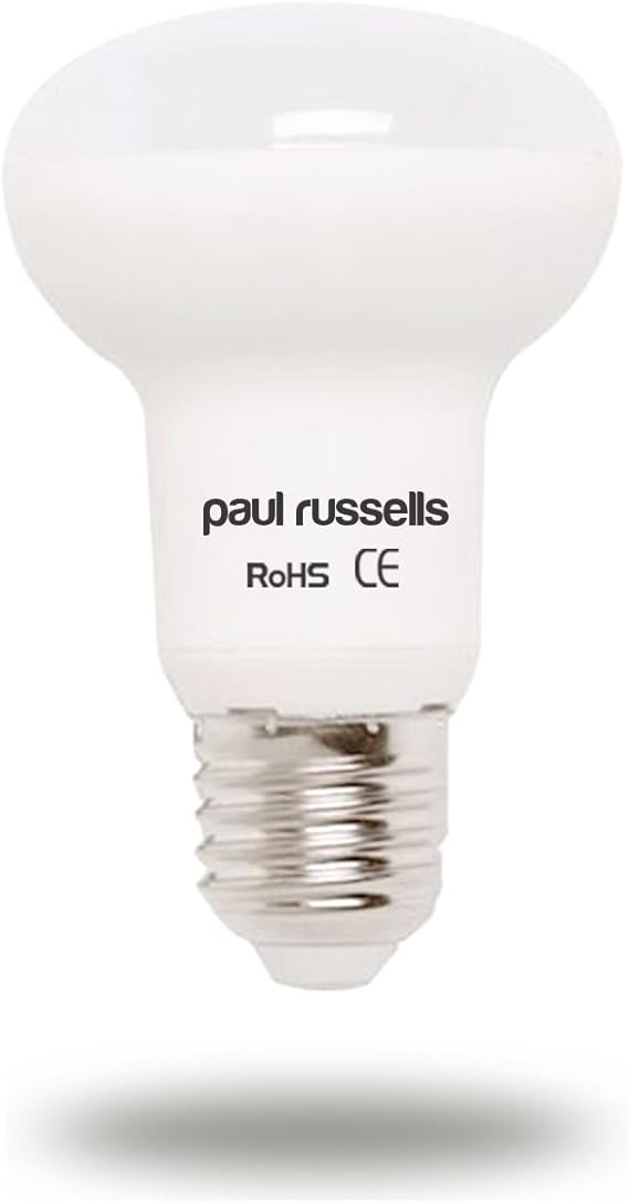 Paul Russels LED-Strahler, E27-Edison-Gewinde, hell, 5 W = 40 W, R63