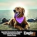 Eagle Pack Natural Dry Dog Food, Lamb & Rice, 15-Pound Bag