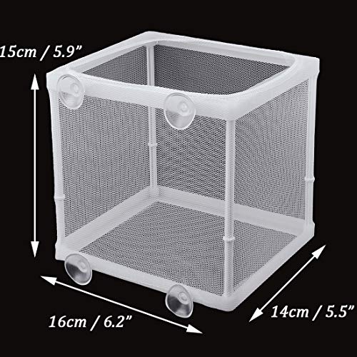 1 NGe+Aquarium+Isolation+Hatching+Incubator