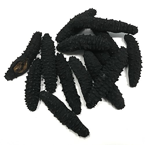 SB Organics Black Pin X-Large - Wild Caught Sea Cucumber Dried All Natural Nutritious - 8 oz.