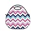 LeeVan Waterproof Getaway Fashion kids' School Lunch Tote Bags Adult Artwork Travel Gourmet Carry Box Portable Cooler Food Container Thick Neoprene Sleeve Lunch Bag - Fuchsia+Teal, Checron