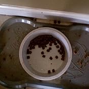 omega paw hungry pet food mat