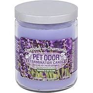 Pet Odor Exterminator Specialty Pet Products Candle, Lavender with Chamomile, 13oz - Pack of 2