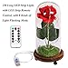 LANGXUN Red Silk Rose with LED Light and Glass Dome for Home Decor Wedding Decorations for Women