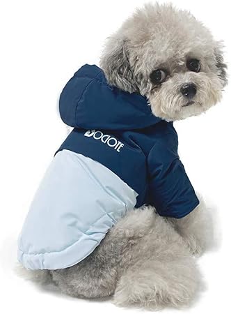 stylish dog coats