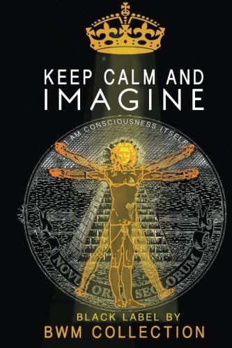 2017 Daily Planner: Mid-Year Aug 2017-July 2018 Daily &amp; Monthly Calendar. Includes Self Development 'Insight' Journal (Black label by BWM Collection)