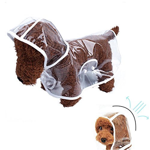 manteau chien imperméable