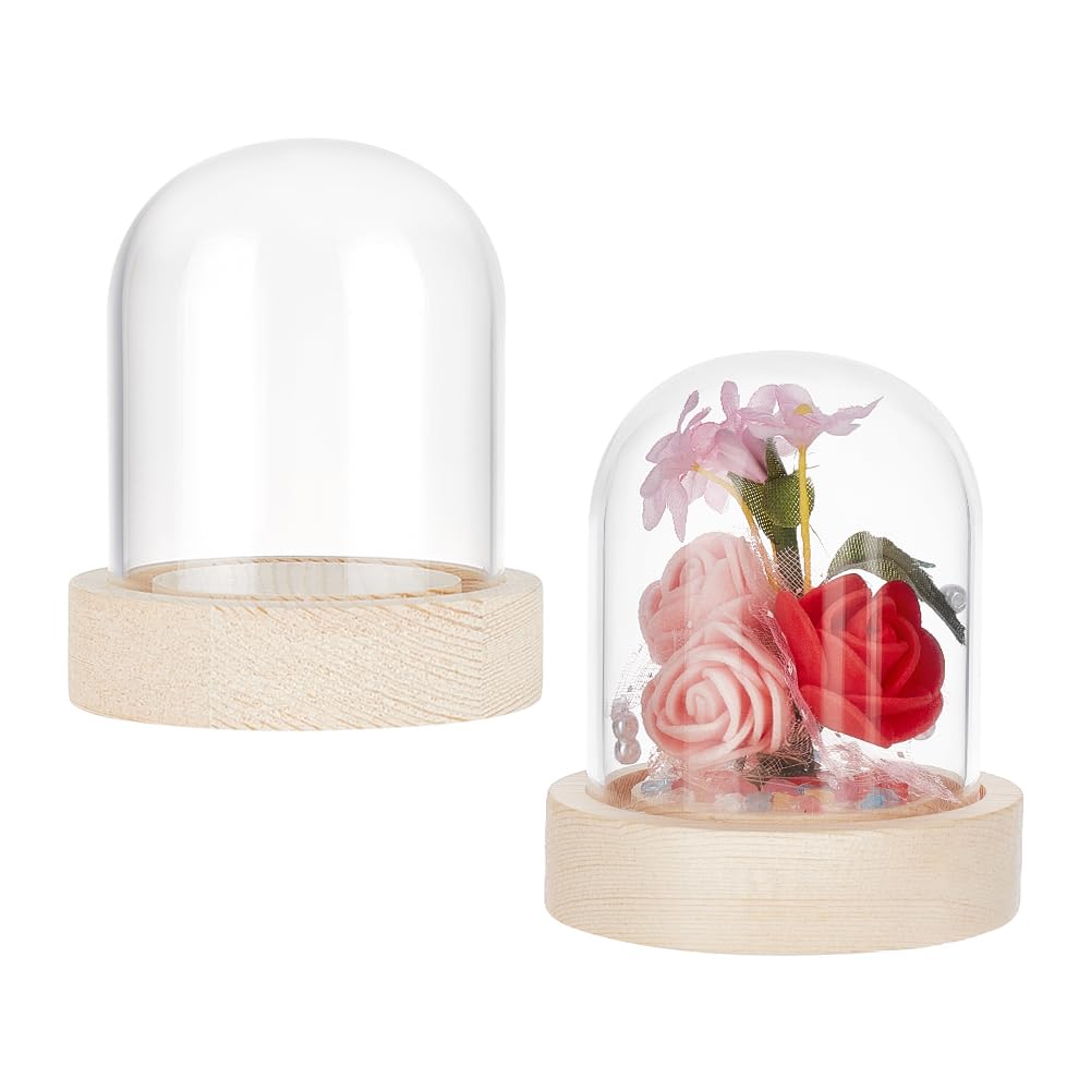 NBEADS Eternal Flower Glass Display Dome Cloche, Glass Display with Solid Wood Base Half Round Glass Jewelry Display Case Bell Jar Cloche for Items Display Home Decoration, 7.1cm High