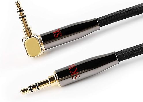 amazon alexa aux input