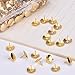 Hamosky Thumb Tacks Round Head Push Pins Office Drawing Pins for Home,School,Brass/Gold Color,Pack of 100 Pieces