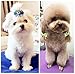 Hixixi 50pcs/pack Pet Cat Dog Hair Bows Multicolor Rhinestone Beads Flowers Topknot With Rubber Bands Puppy Hair Accessories Mix Color Random