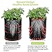 K-MAN Potato Grow Bags-4-Pack 7&10 Gallon Plant Grow Bags with Handles&Access Flap& Air Drainage Holes – PE+5% UV Material(Black/4Pcs Labels/3Pcs Tools)thumb 1