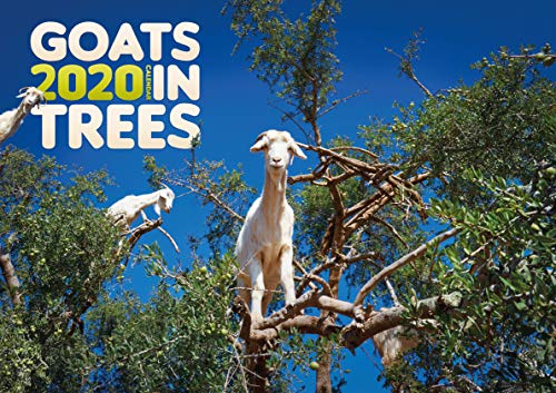 Goats in Trees 2020 Calendar (English, German and French Edition) by 