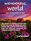 Livro Wonderful World