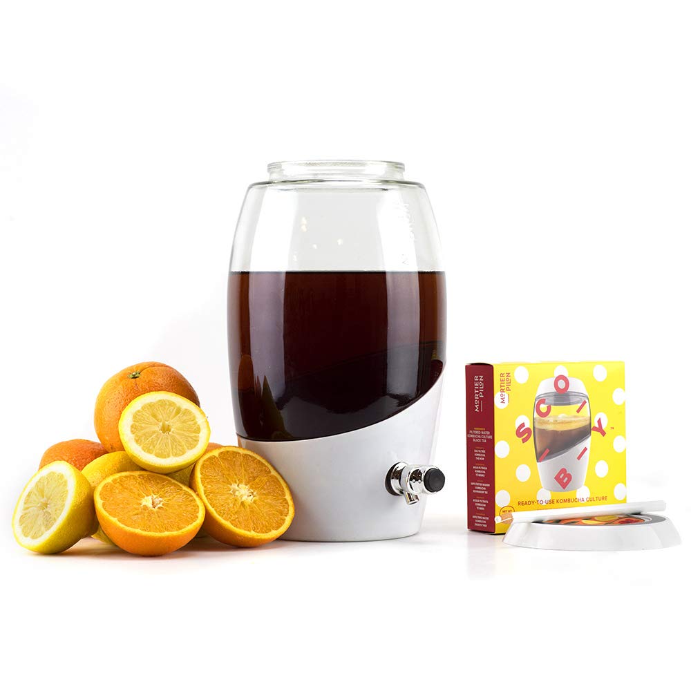 Best kombucha home brew kit