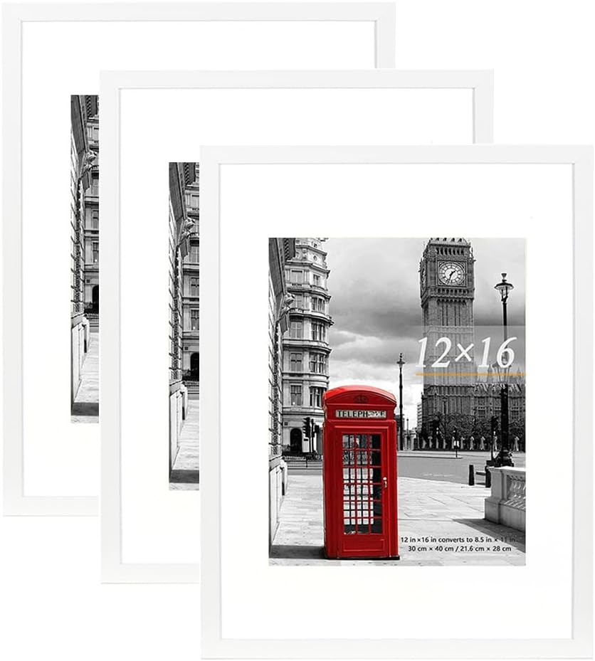 Scholor Tree 12x16 Inch Picture Frame Set of 3 White Plastic Wall Mountable