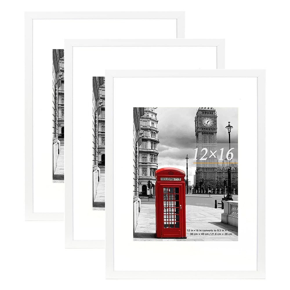 Scholar Tree picture frames White set of 3, 12x16in（30x40cm ） Poster Frame,Wall Mountable — image 1