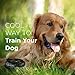 Bark Buddy Classic No Bark Training System Bark Collar