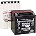 Yuasa YUAM6RH4H YTX14H-BS Maintenance Free H Series AGM Battery with Acid pack