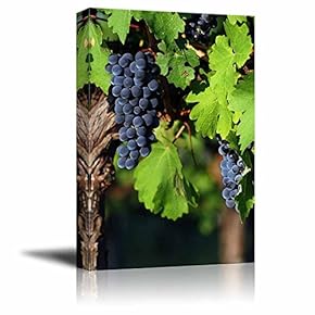 Canvas Prints Wall Art - Italian Vineyard | Modern Wall Decor/Home Decoration Stretched Gallery Canvas Wrap Giclee Print. Ready to Hang - 12" x 18"