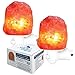 Himalayan Rock Salt Lamp Night Light Natural Hand Carved Pure Authentic Pink Salt Crystals from Pakistan use in Bedroom Family Room Hallway Office by My Perfect Nights (2 Pack)