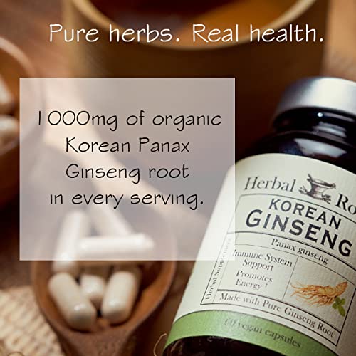 Herbal Roots Panax Ginseng Organic Korean Ginseng Root Powder