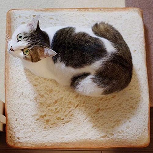 シミュレーション パンクッション スライス トースト スローピロー バッククッション ぬいぐるみ 広場 クッション 房状 厚く クッション 猫用 A 80x80cm 31 5x31 5inch B086hkvxcf 3 457円