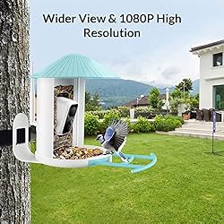 NETVUE Birdfy Lite - Smart Bird Feeder with Camera